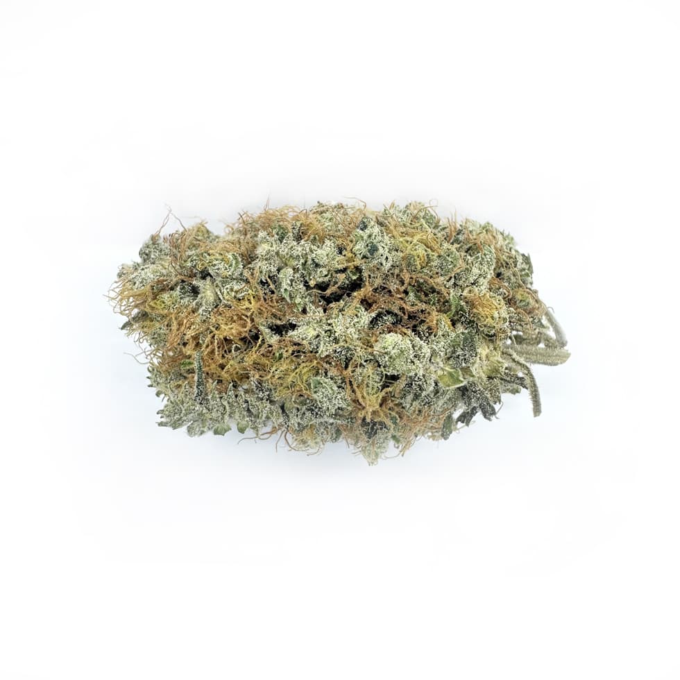 Aquaponic White CBG Flower