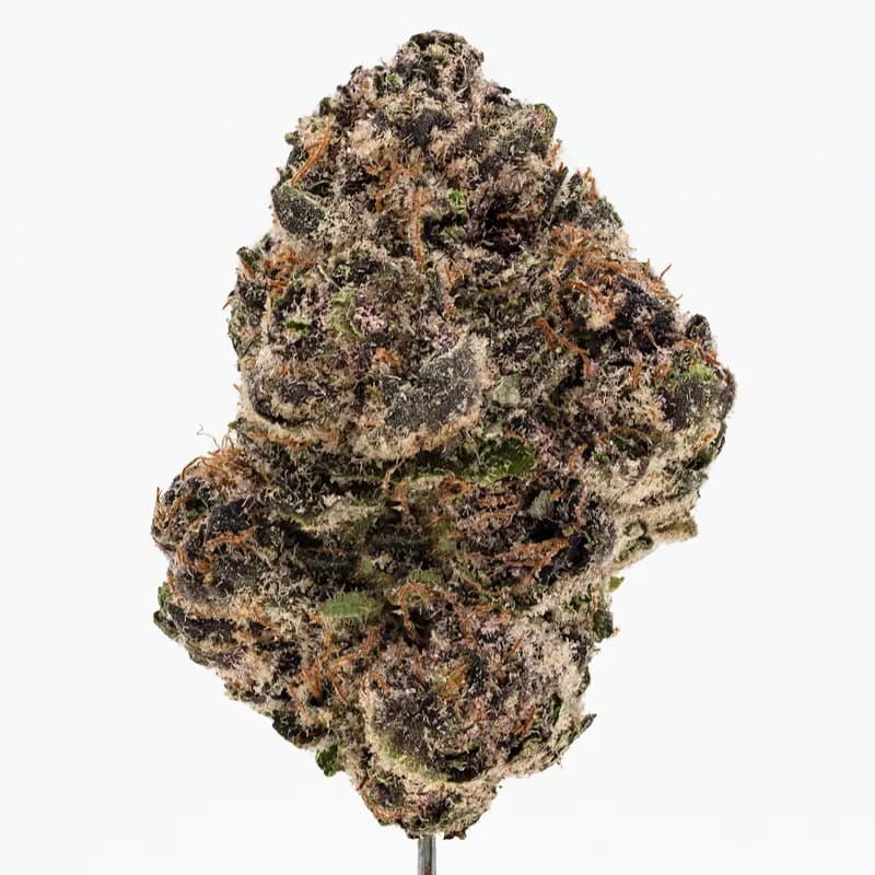 Grape Gas Strain
