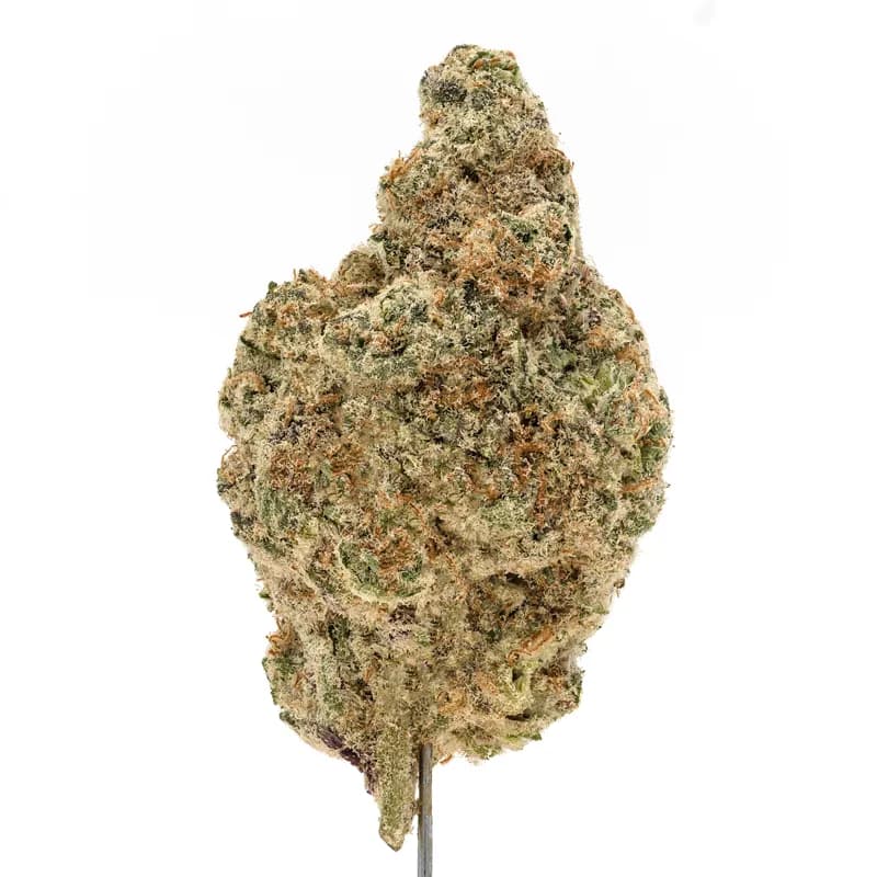 Mac Daddy Strain