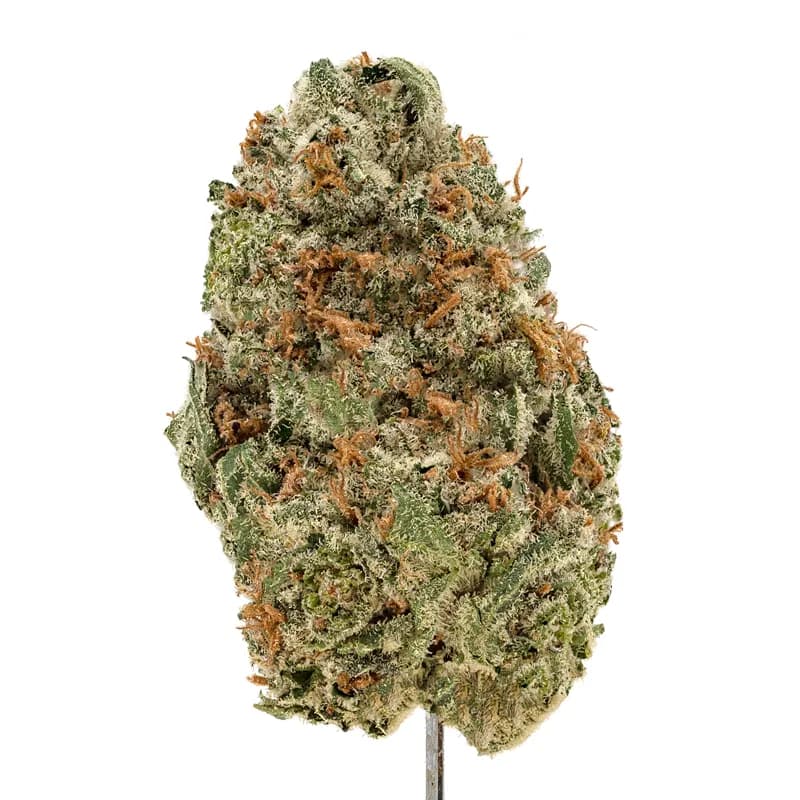 Rainbow Runtz Strain