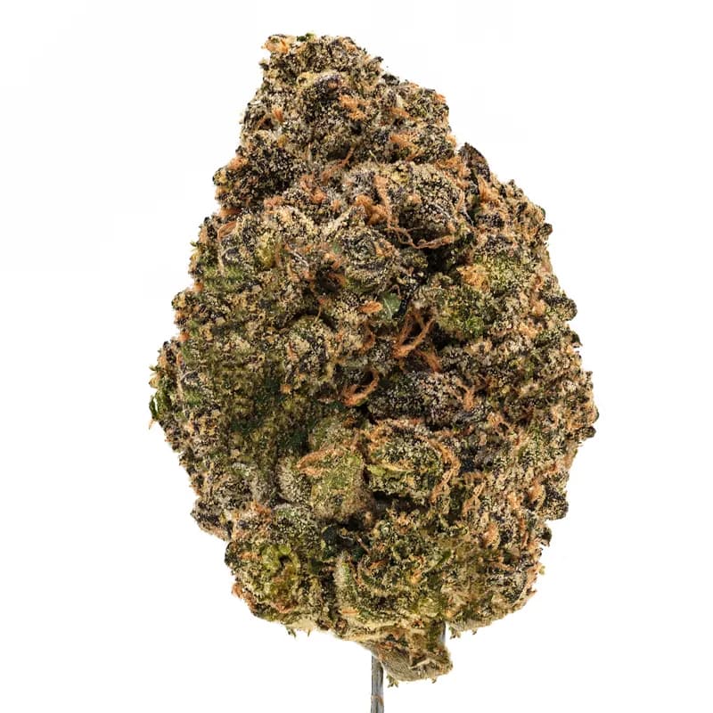 Blue Nerds Strain