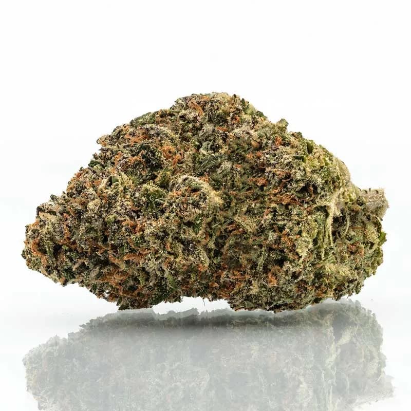 Sour Runtz Strain