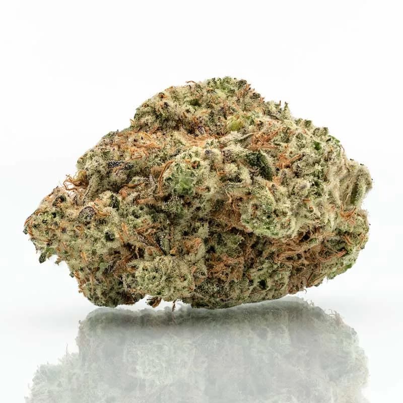 White Truffle Strain