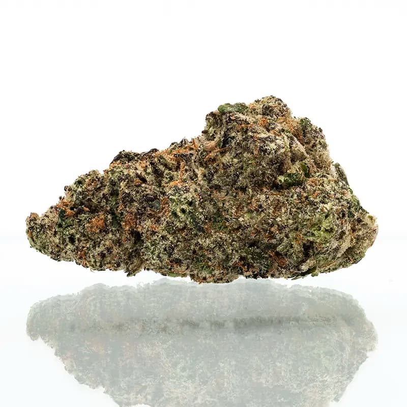 Grease Monkey Strain