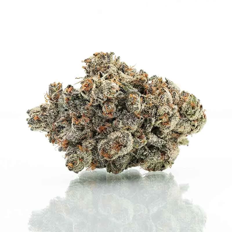 GovernMint Oasis Strain
