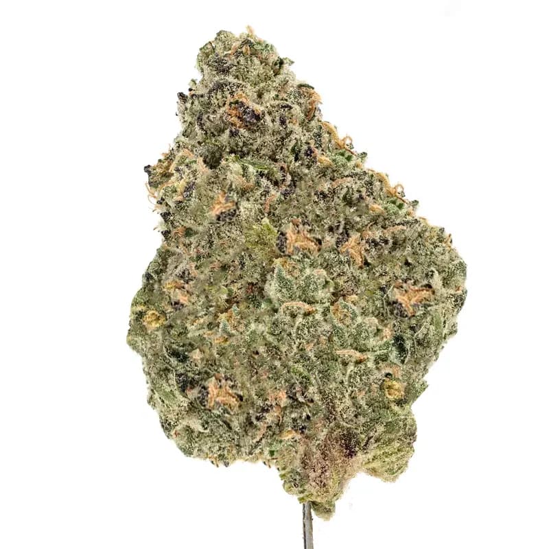 Garlic Runtz Strain