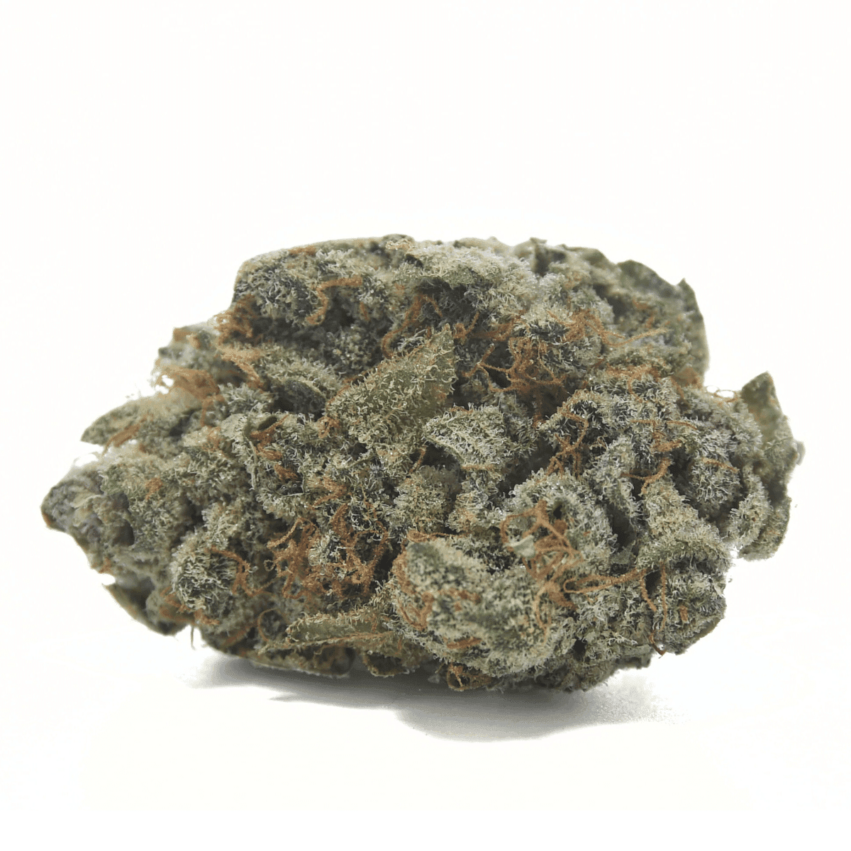 Dark Queen Craft Reserve THCA Flower