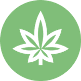 Buy THCa Flower