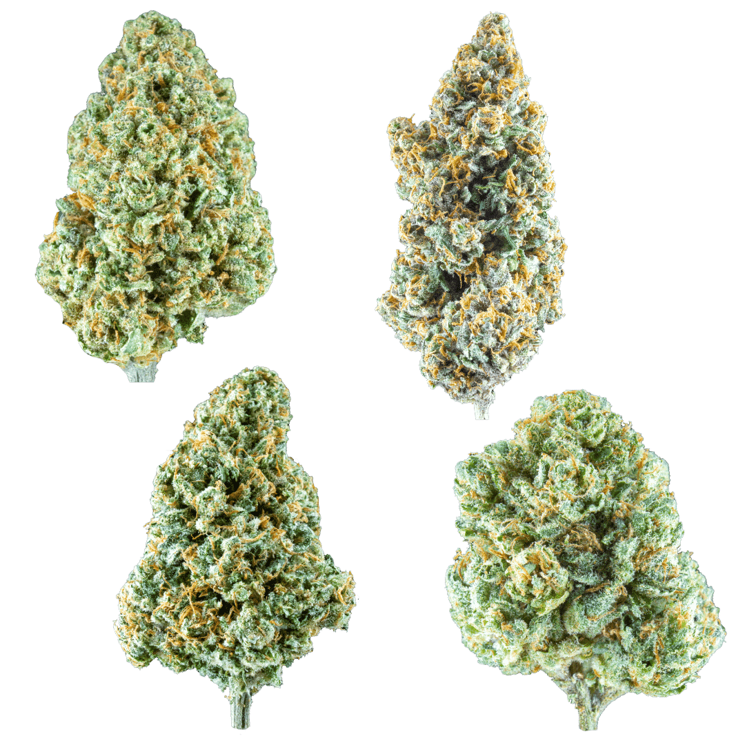 Type 2 Sample Pack (CBD:THC)
