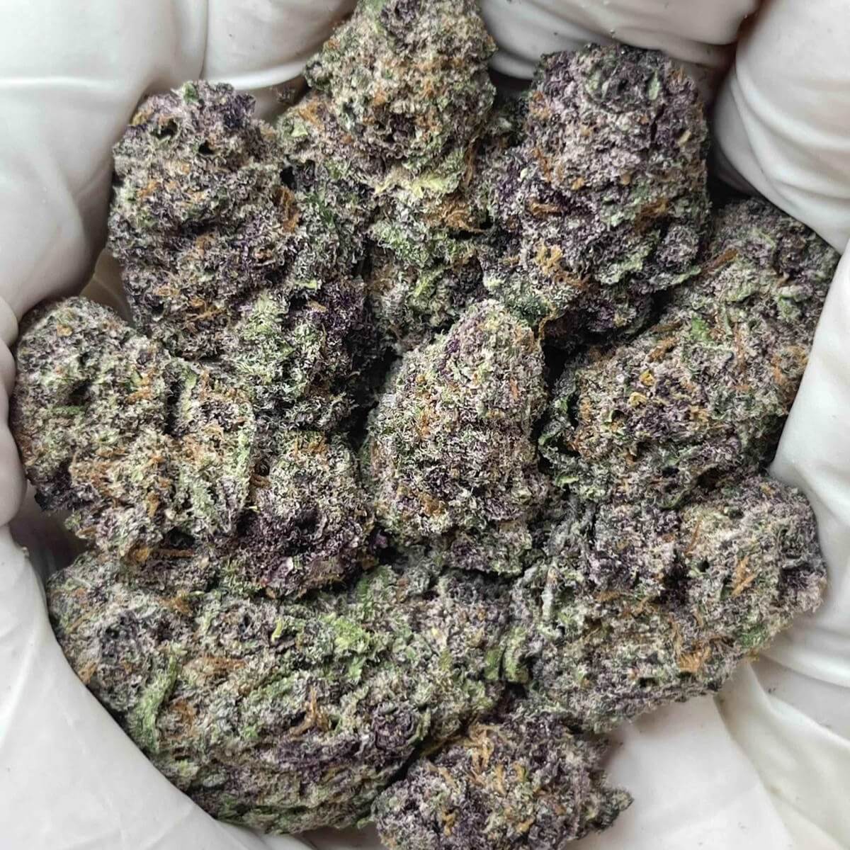 Lemon Cherry Gelato THCa Indoor