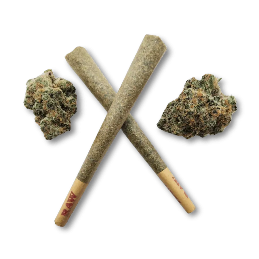 THCa Pre-Rolls – 2-Grams and Dog Walker Bundles