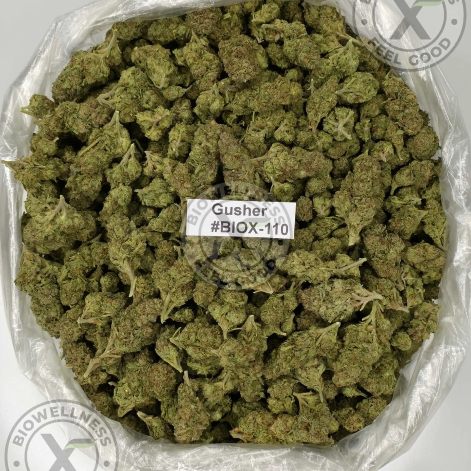 THCa Flower Clearance | Cheap $50/Oz Deals – 14 grams, Strain: AAA | Gusher (Indica)