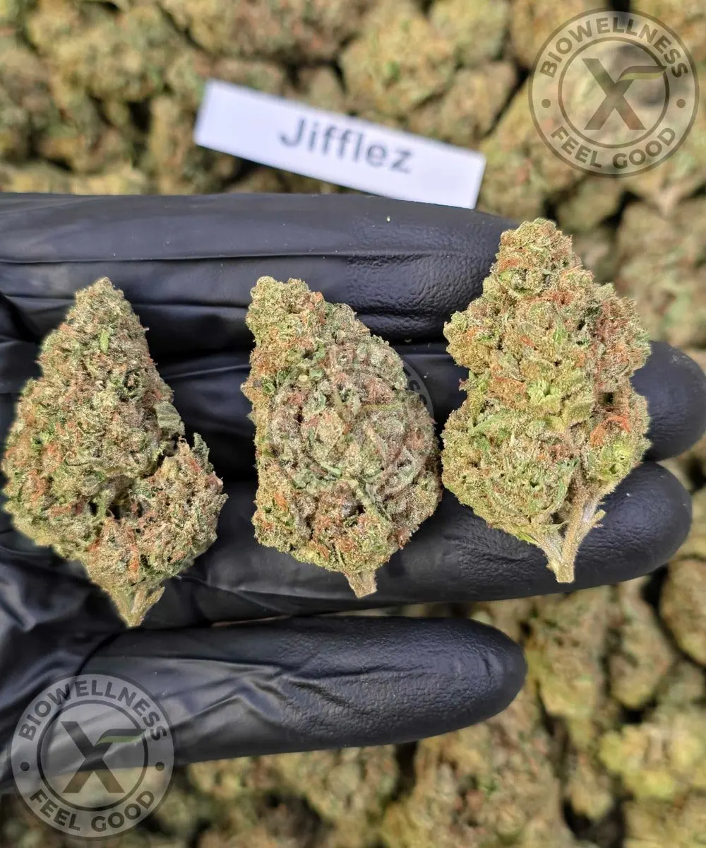Budget THCa Flower Without the Premium Price – Choose Your Type: Hybrid, Step 2: Select Your Strain: Premium