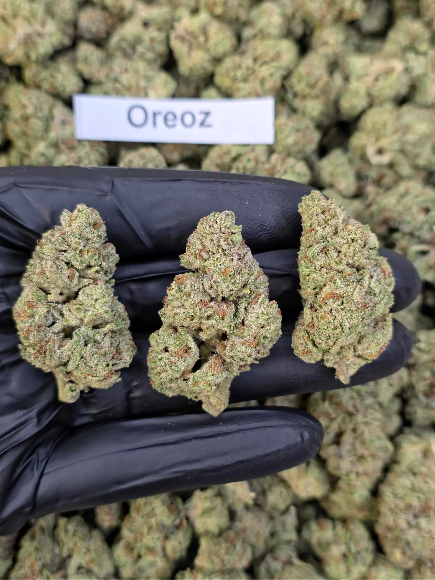 Budget THCa Flower Without the Premium Price – Choose Your Type: Indica, Step 2: Select Your Strain: Premium