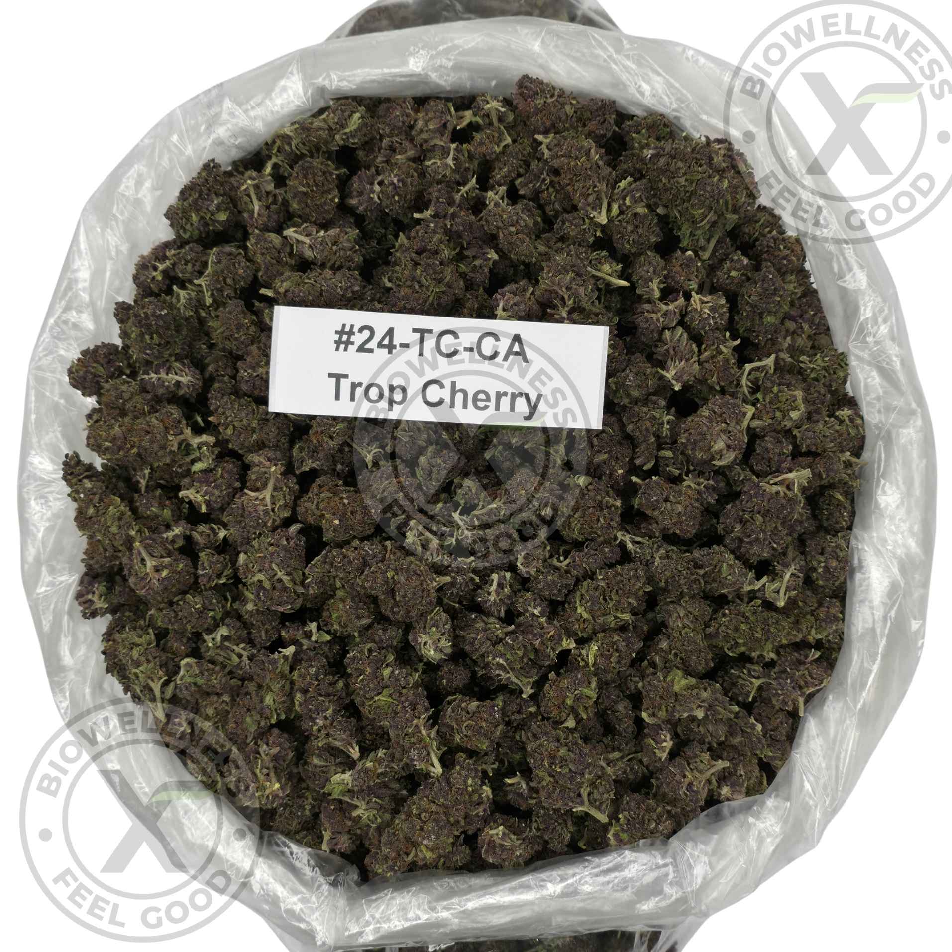 THCa Flower Clearance | Cheap $50/Oz Deals – 28 grams, Strain: A/AA | Trop Cherry (Sativa)