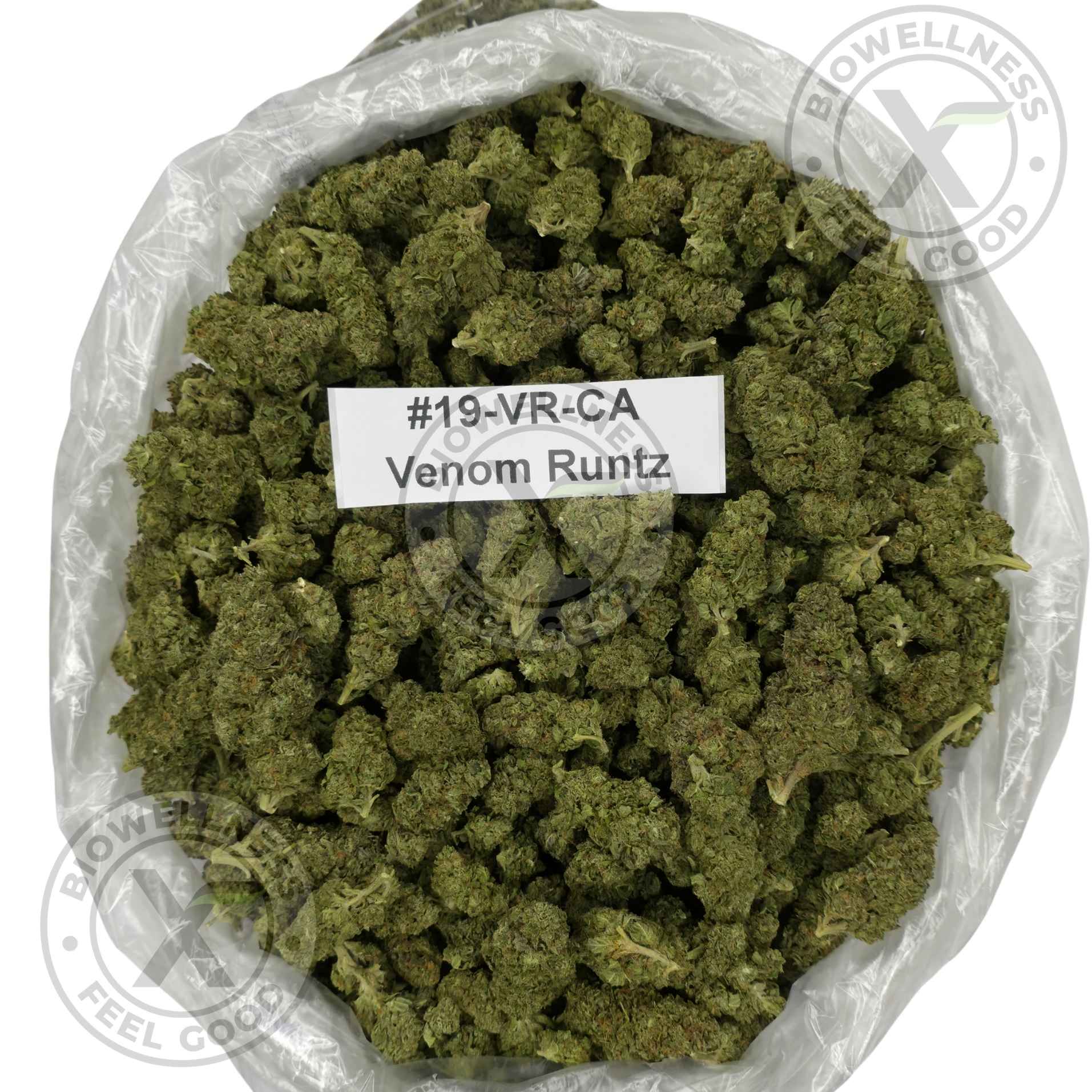 THCa Flower Clearance | Cheap $50/Oz Deals – 28 grams, Strain: AAA | Venom Runtz (Indica)