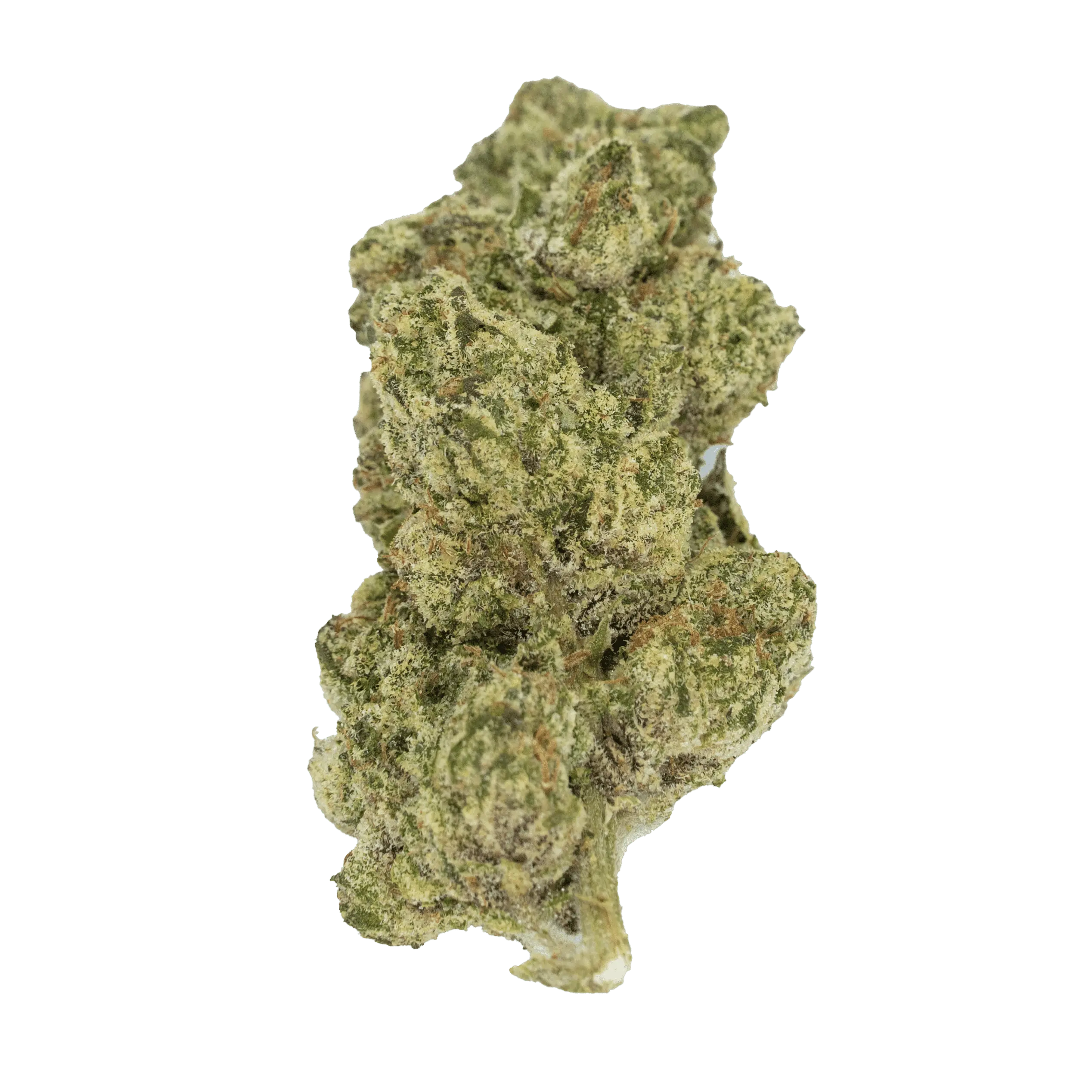 GMO Cookies flower