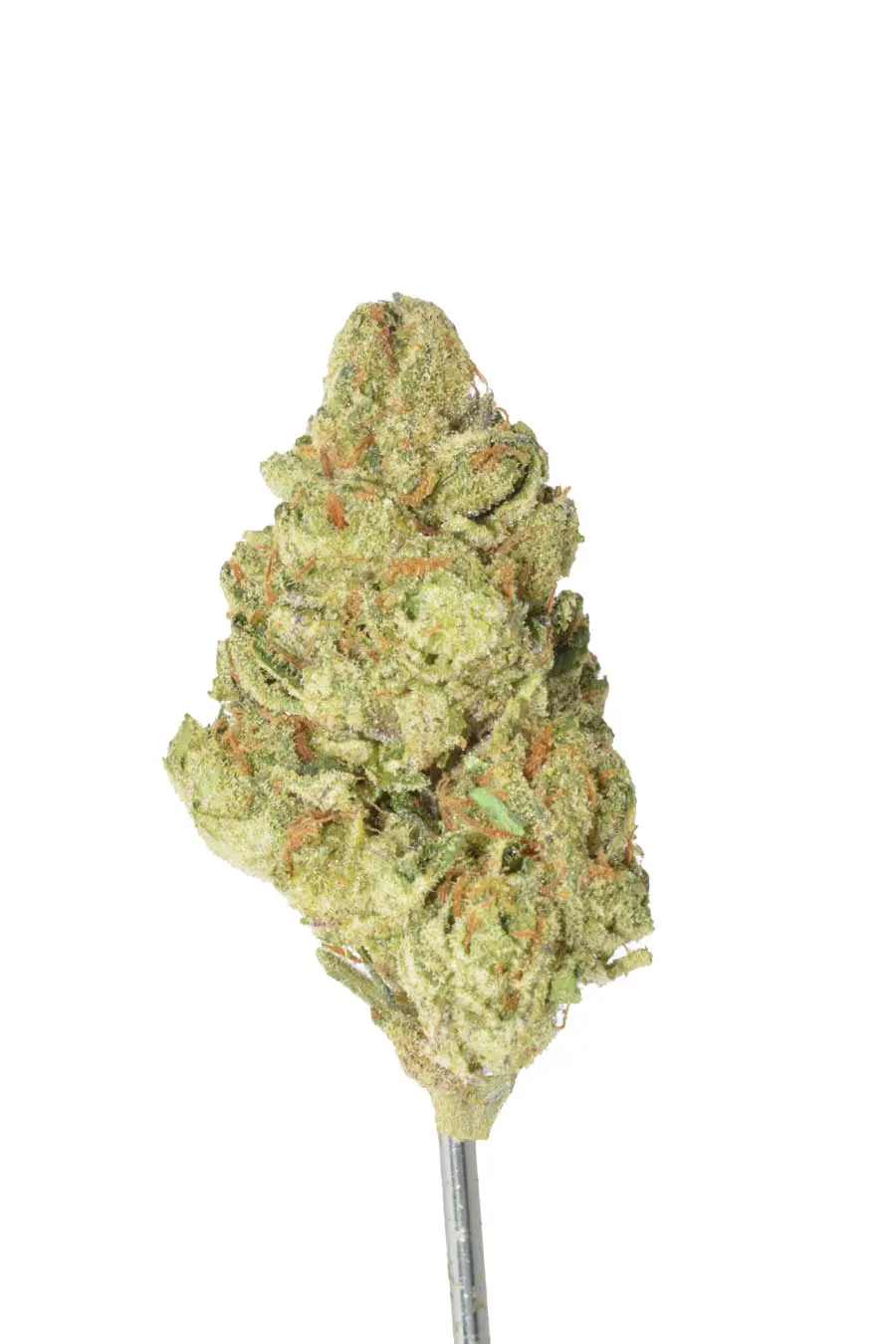 Acai Berry – 28 Grams