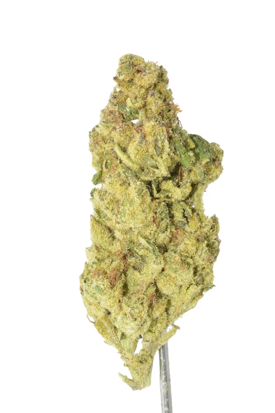 Big Easy flower