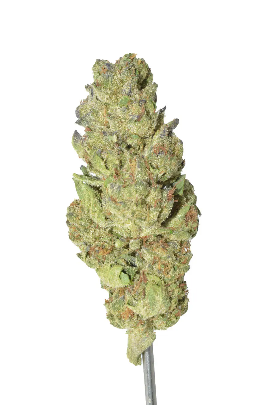 Black Sheep – 28 Grams
