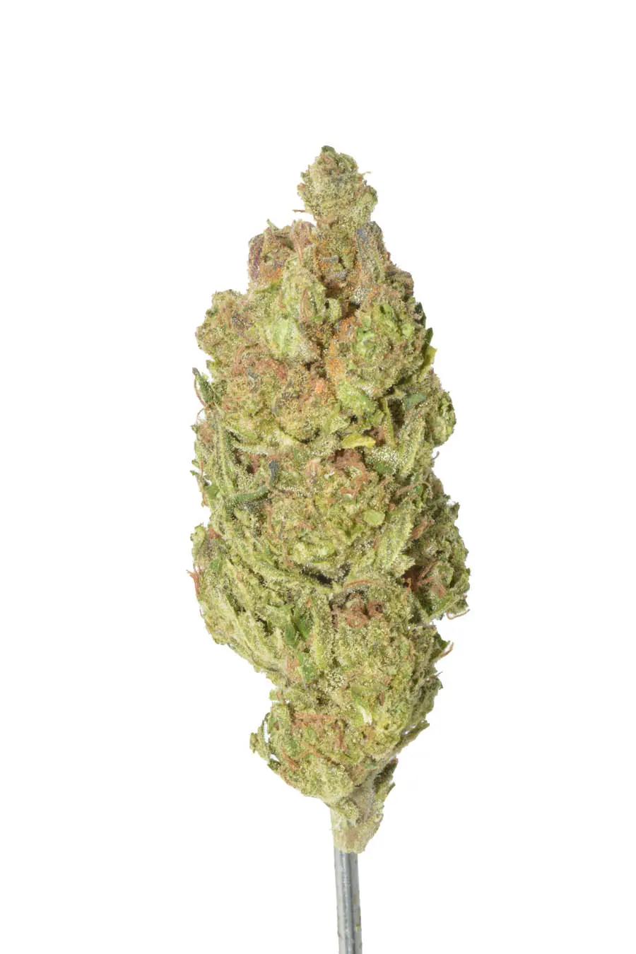Pine Sol – 28 Grams