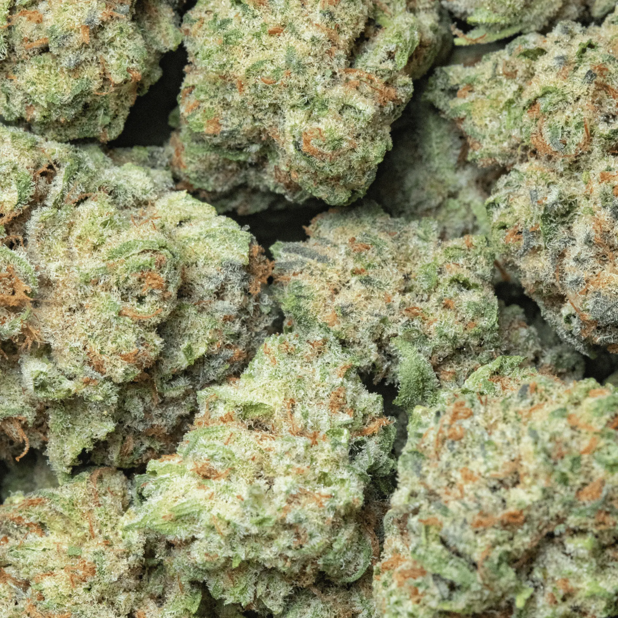 Stormy Monday – smalls – 16gr