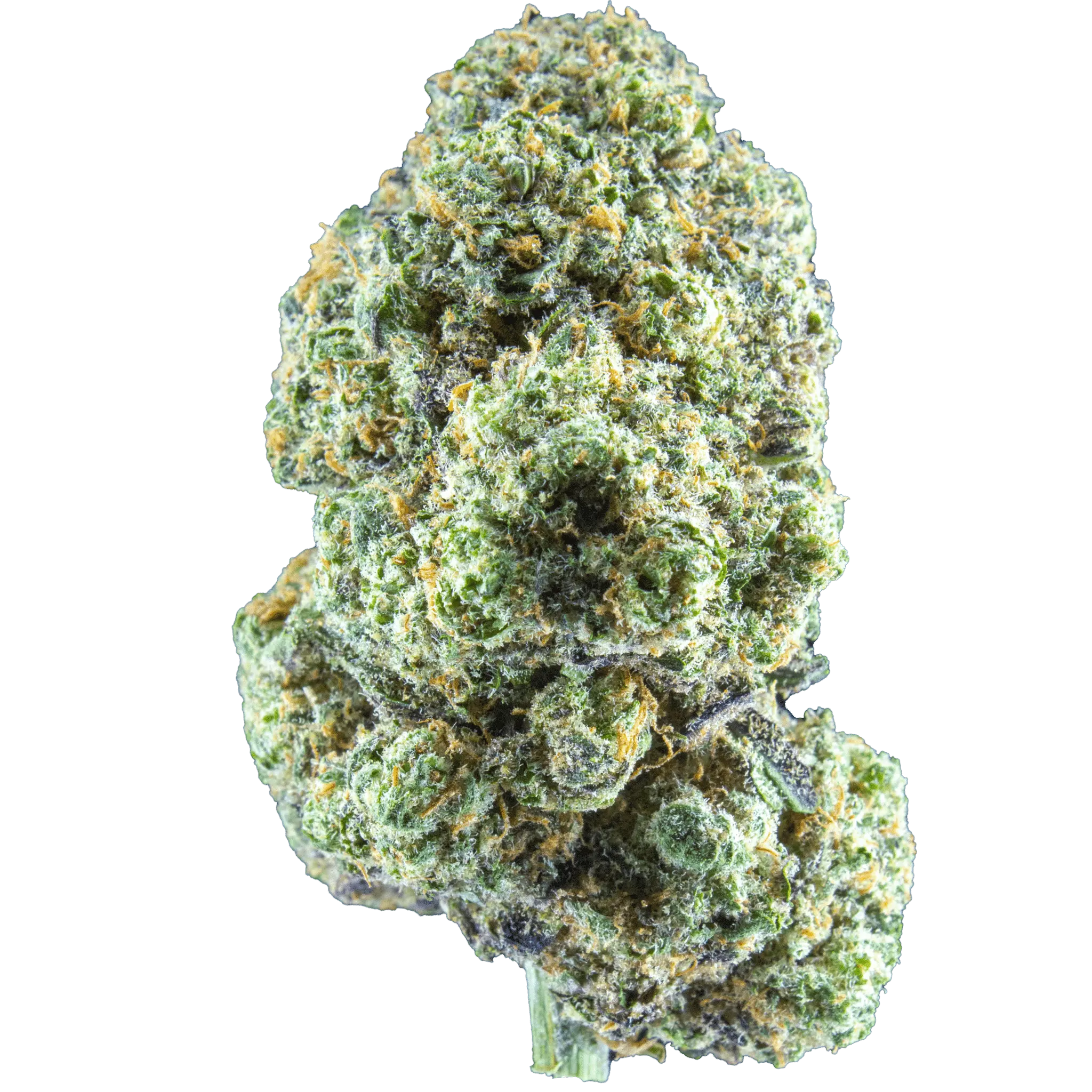 we pick flower
