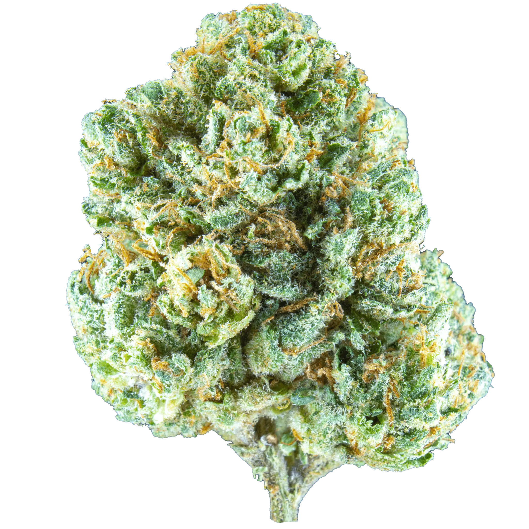 VIP Freebie – 3 grams