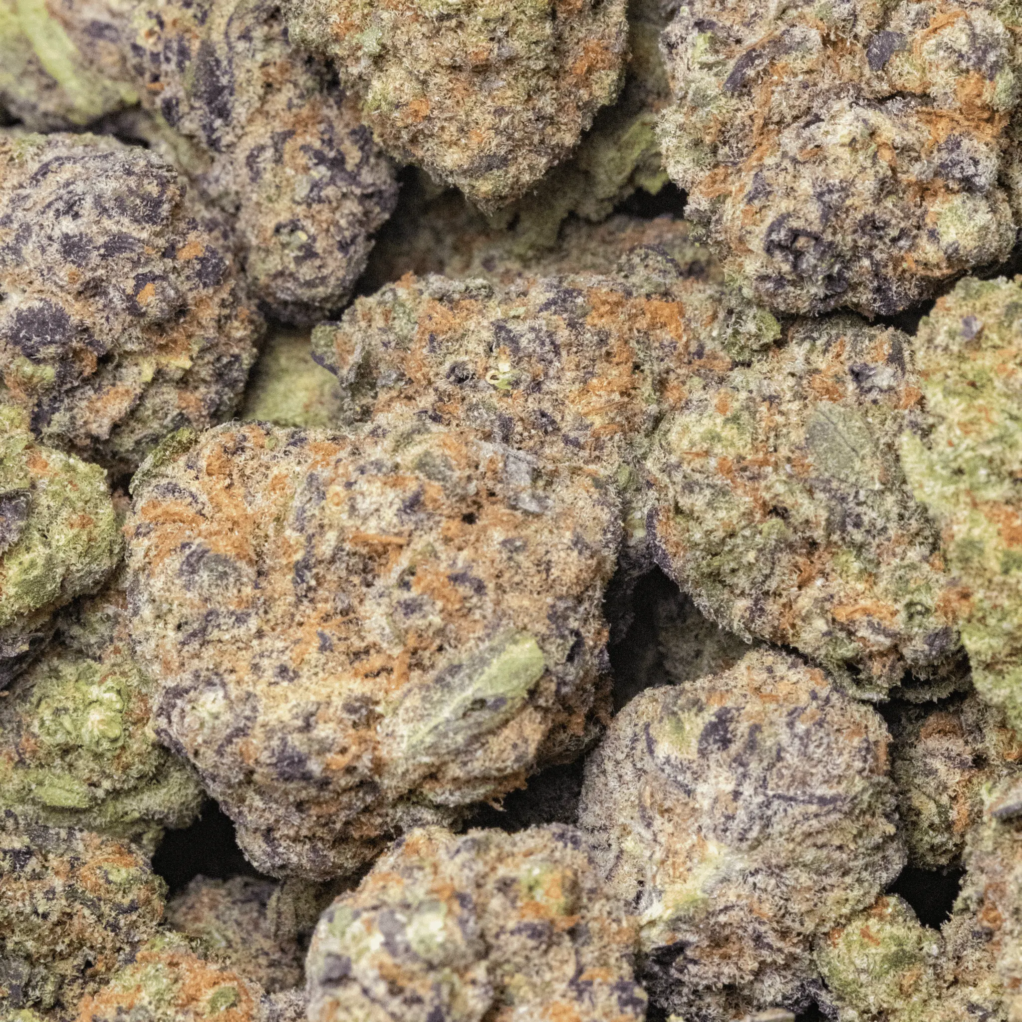 Jolly Rancher — Holy City Farms