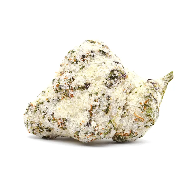 Gumbo Snow flower