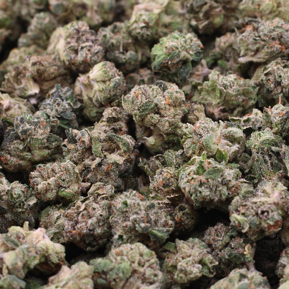 Skeezer | THCa Flower