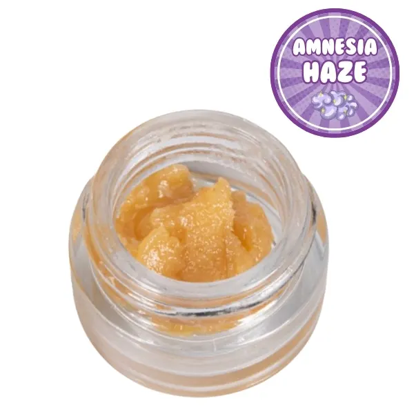 Amnesia Haze — Vivimu
