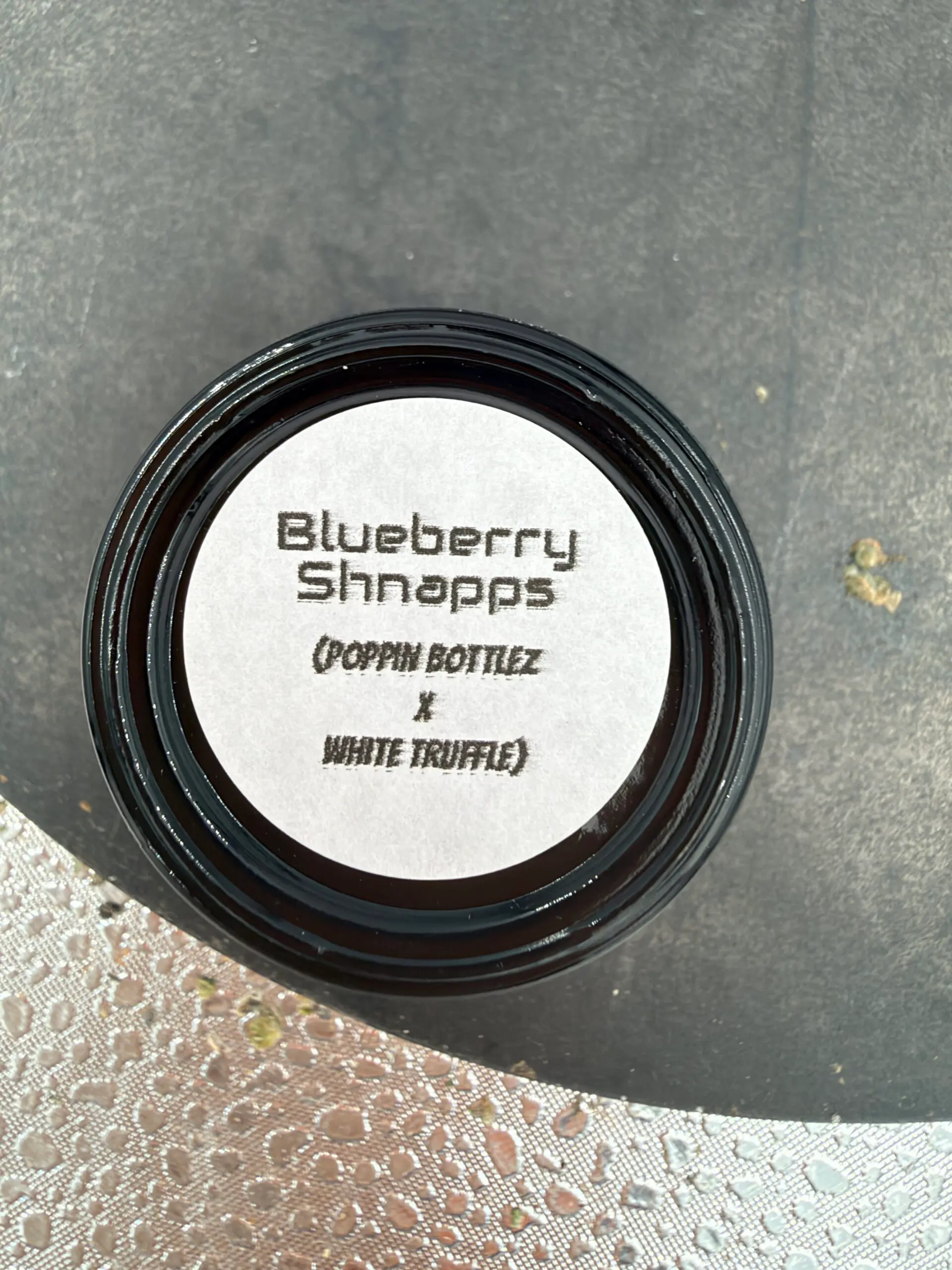 HCS Blueberry Shnapps 2G Jar – 2g