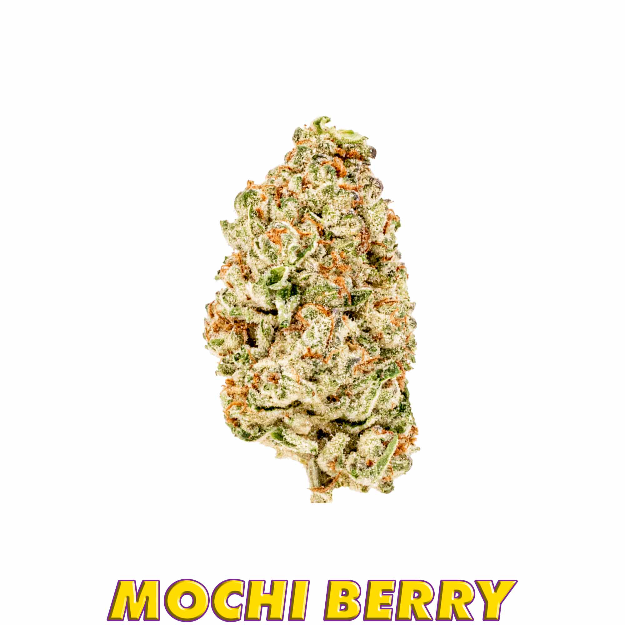 Mochi Berry flower