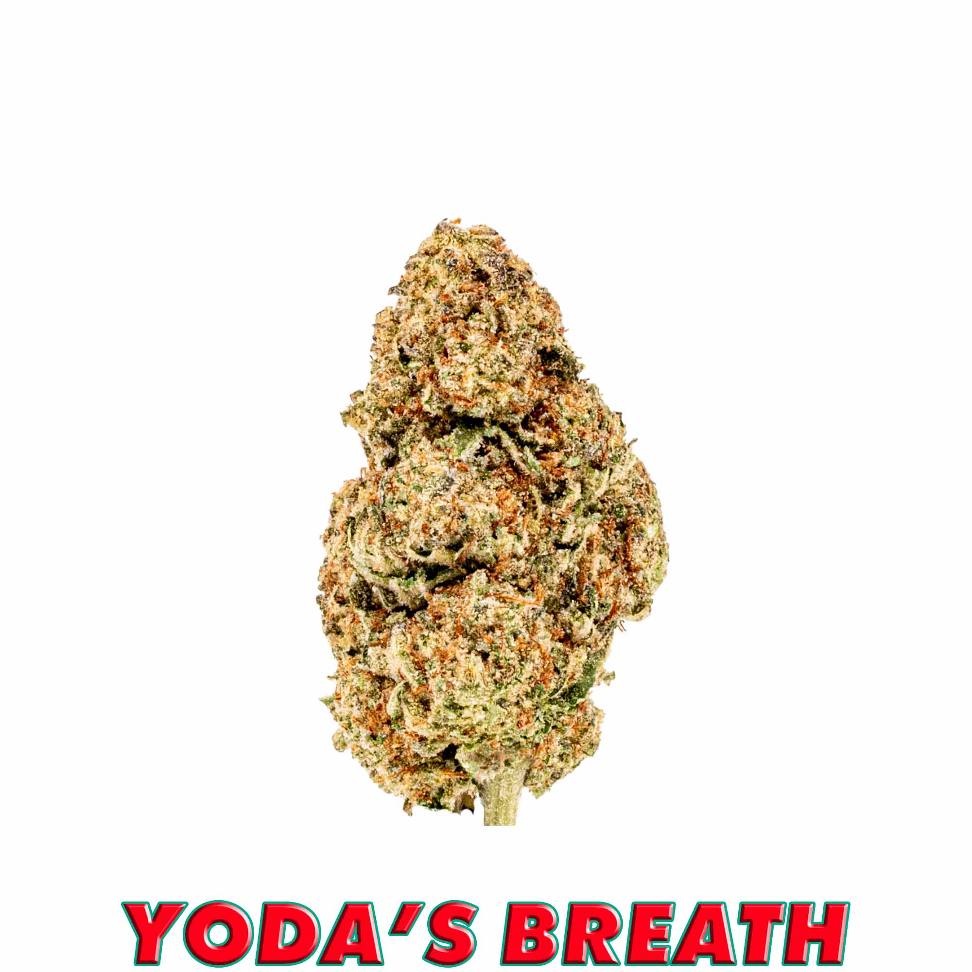 Yoda’s Breath flower