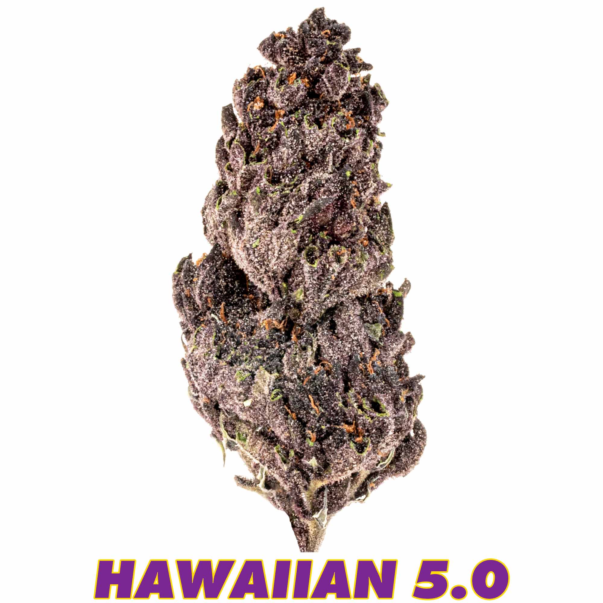 Traditional Hawaiian flower