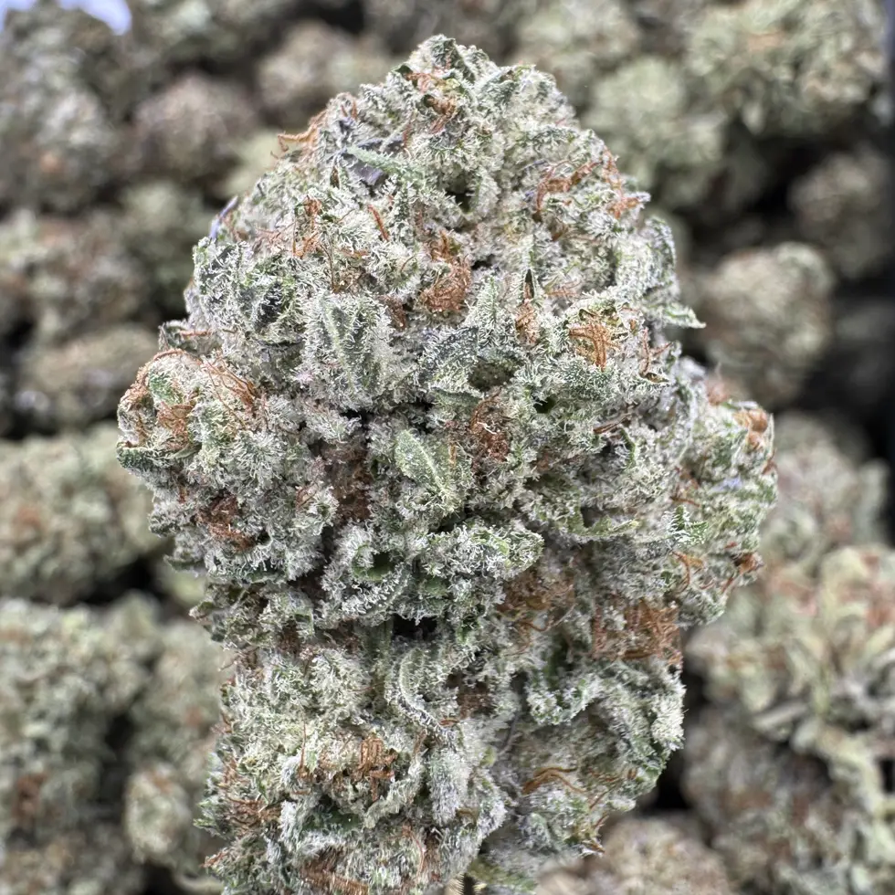 Double Stuffed Strain, 24.3% THCa Flower – 28g