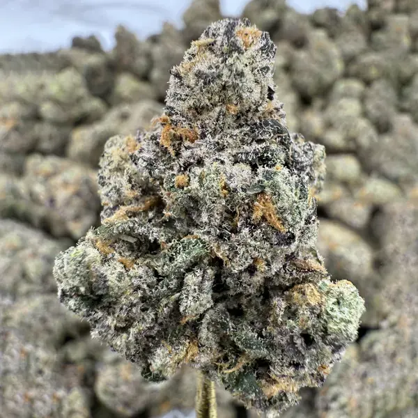 (Exotic) Blue Dream Strain, 28.3% THCa Flower – 28g