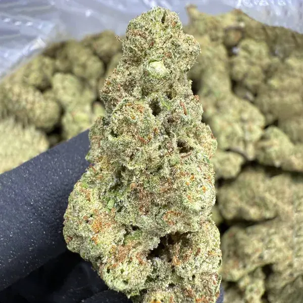 Strawberry Cough Strain, 24.5% THCa Flower — 1 oz