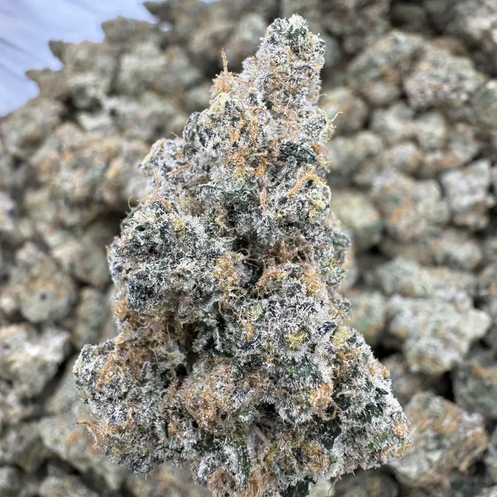 Blackberry Super Boof Strain, 28.17% THCa Flower – 28g
