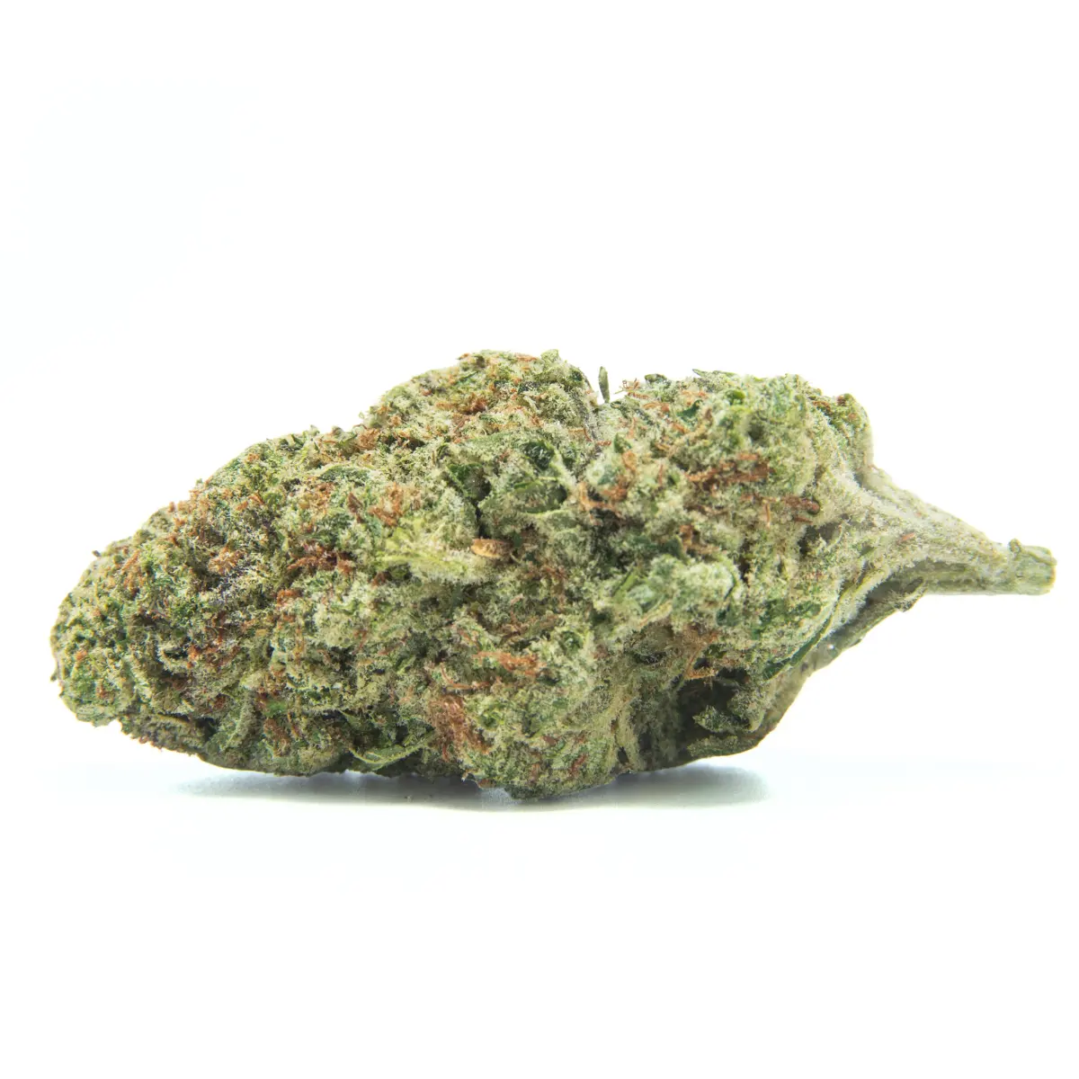 Chocolate Chip Craft Reserve THCA Flower – 1 Gram