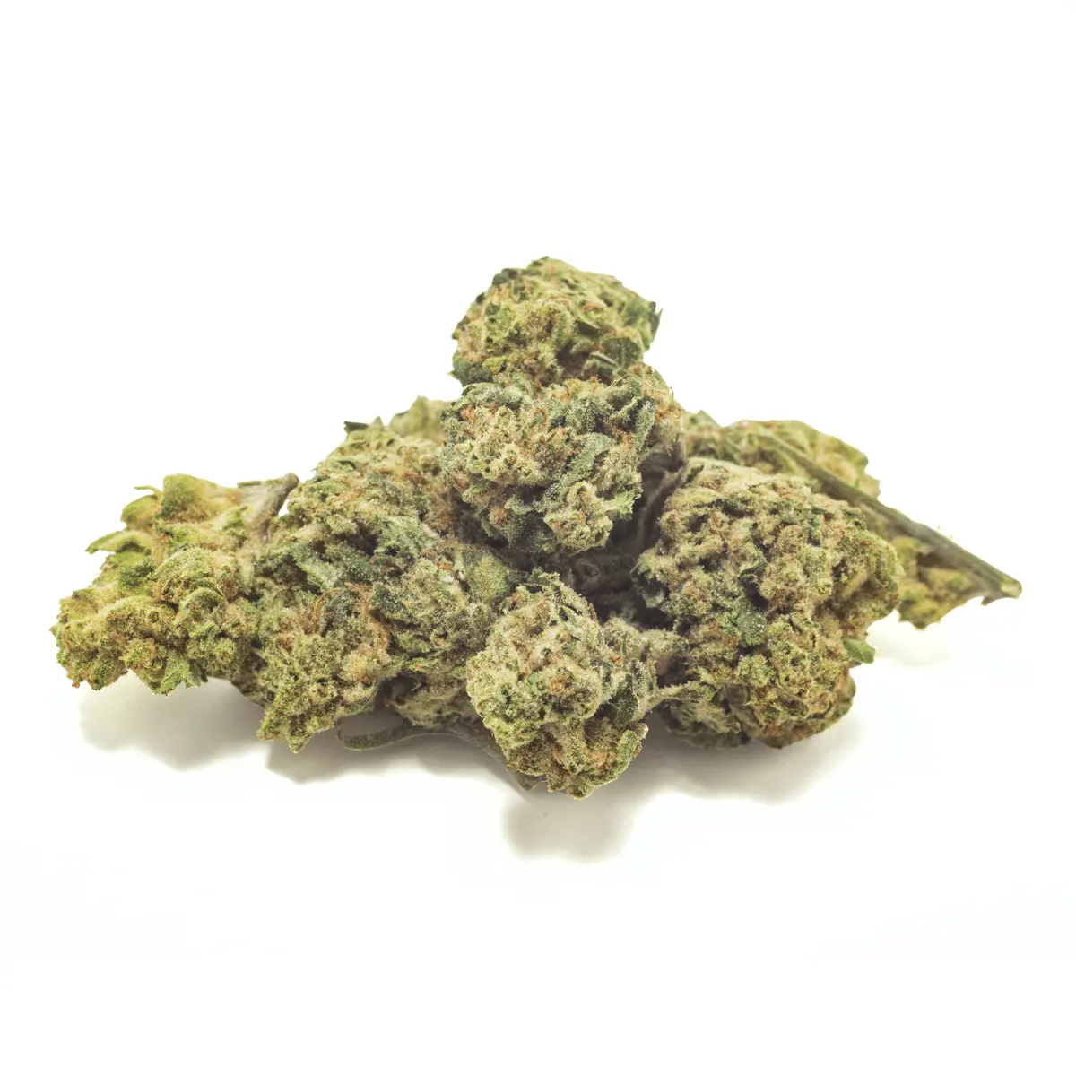 Amaretto Sour THCA Flower – 3.5 Grams (1/8oz)