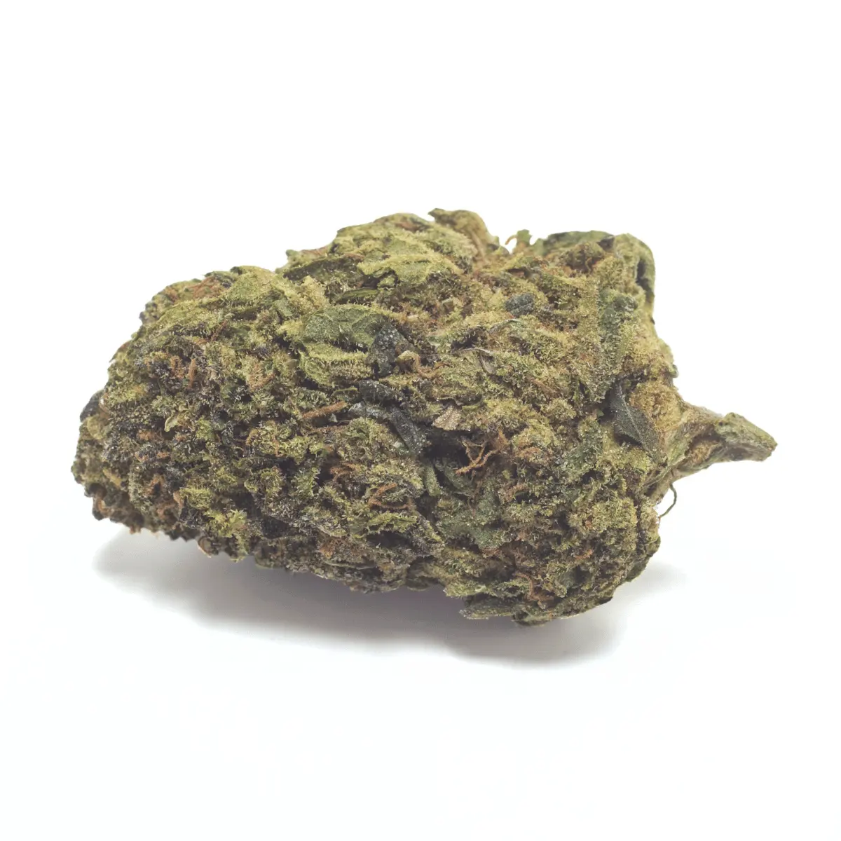 Black Truffle THCA Flower – 3.5 Grams (1/8oz)