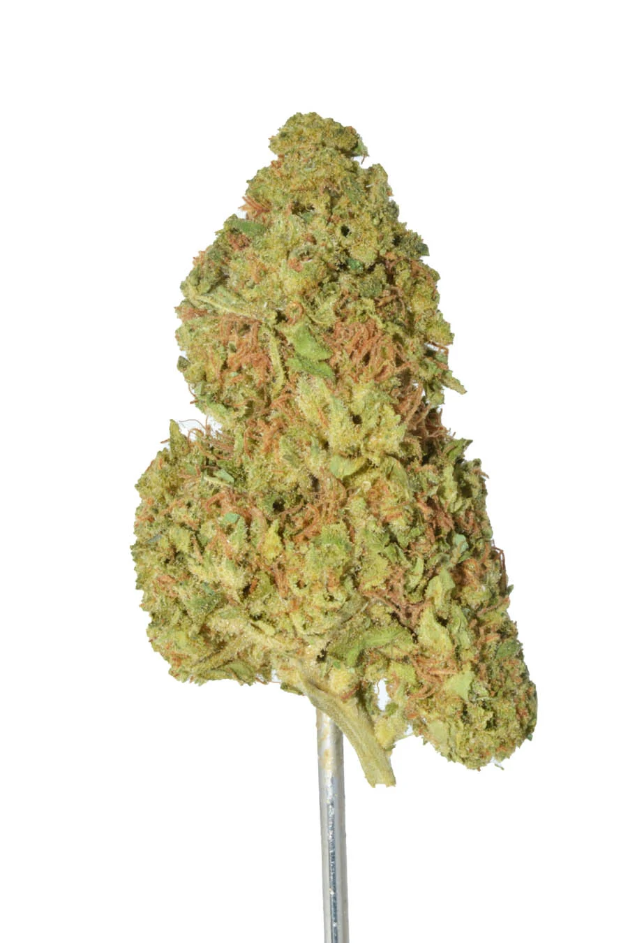 Cat Piss – 1 oz