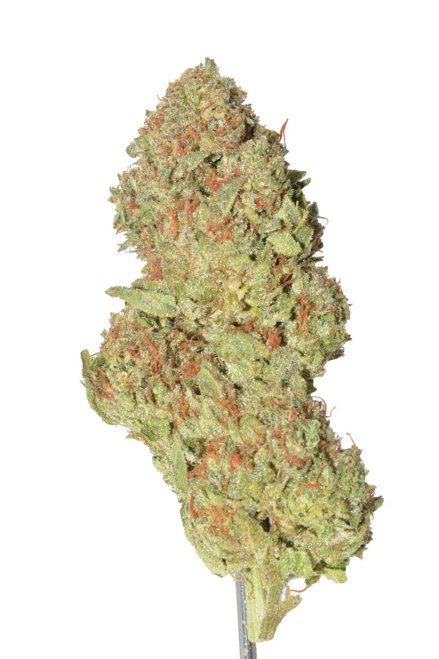 Gelato #47 – 1 oz