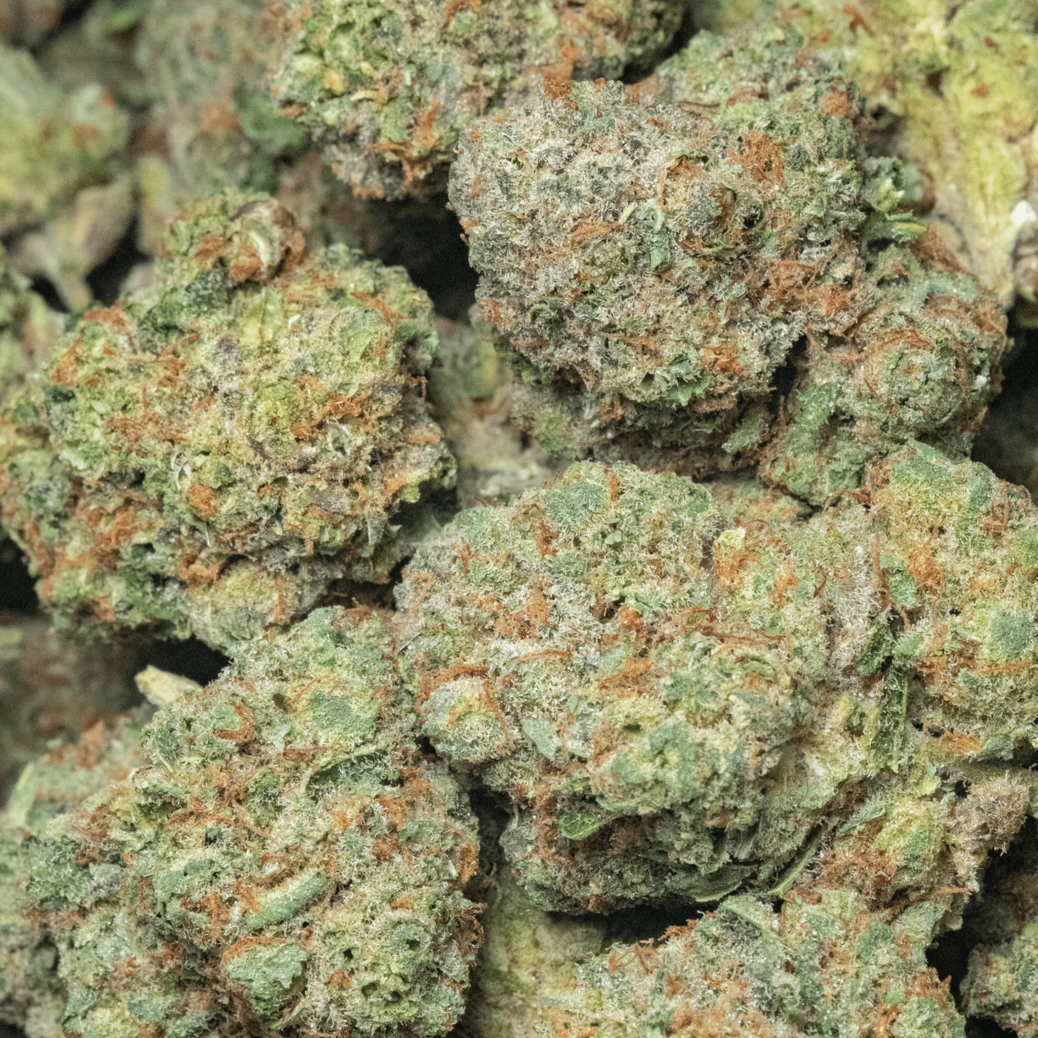 Lazy Lightning – smalls – 16gr