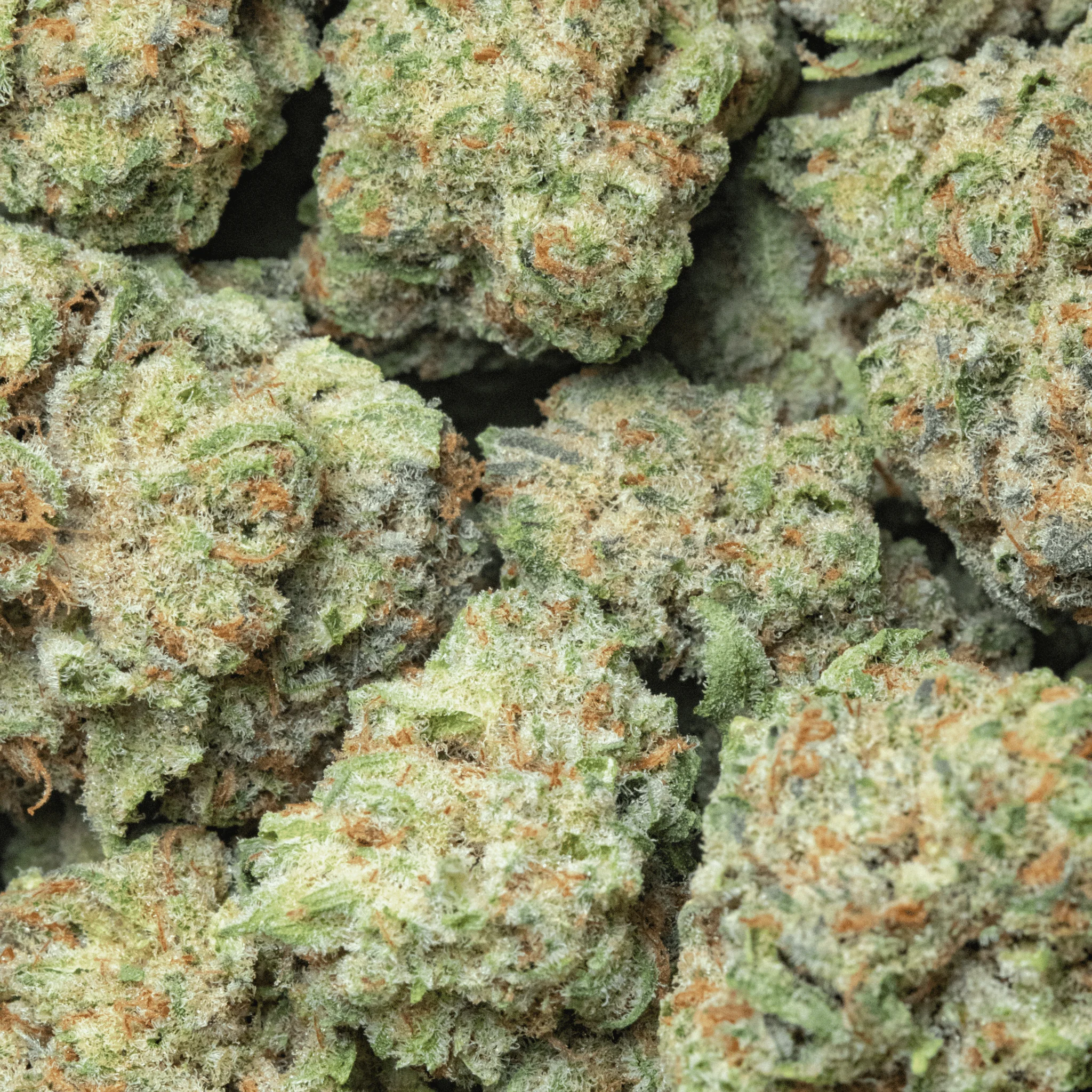 Stormy Monday – smalls – 16gr