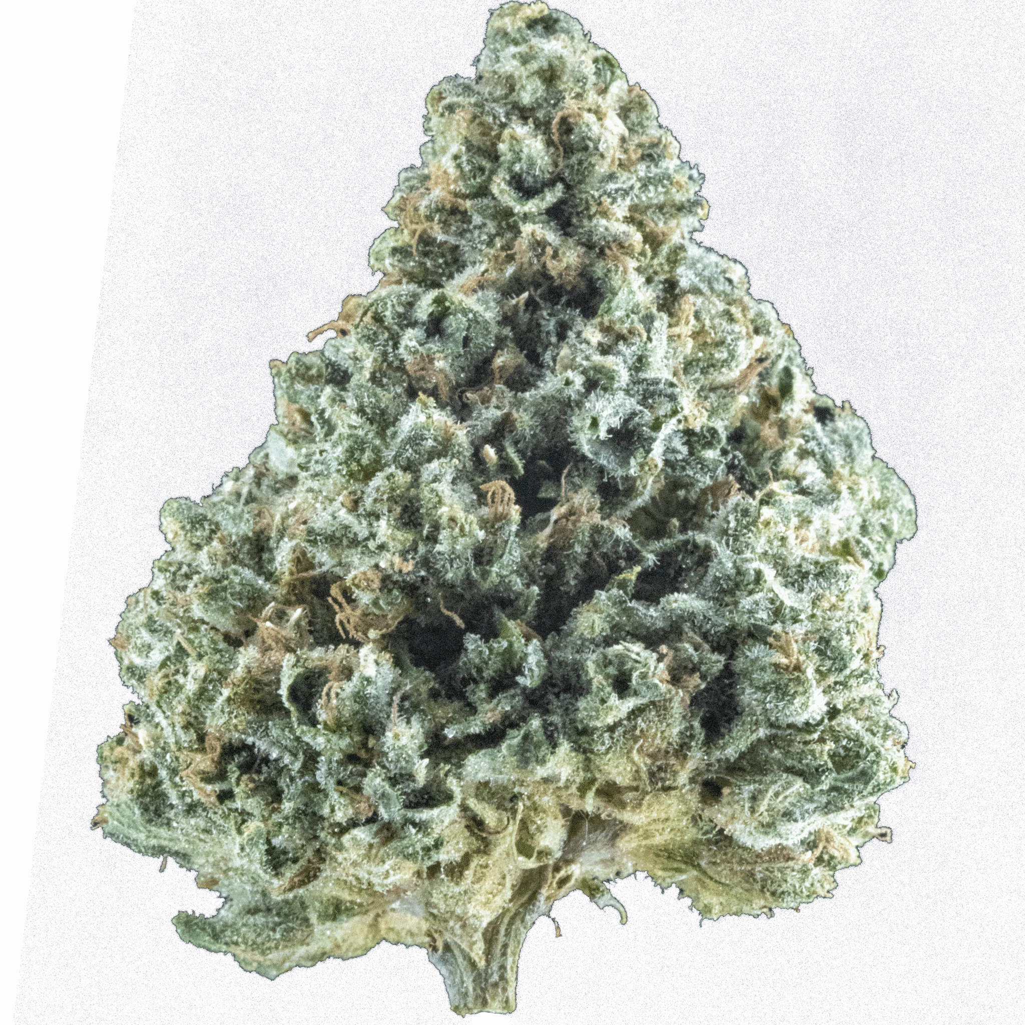 Aurora Drift – smalls – 16gr