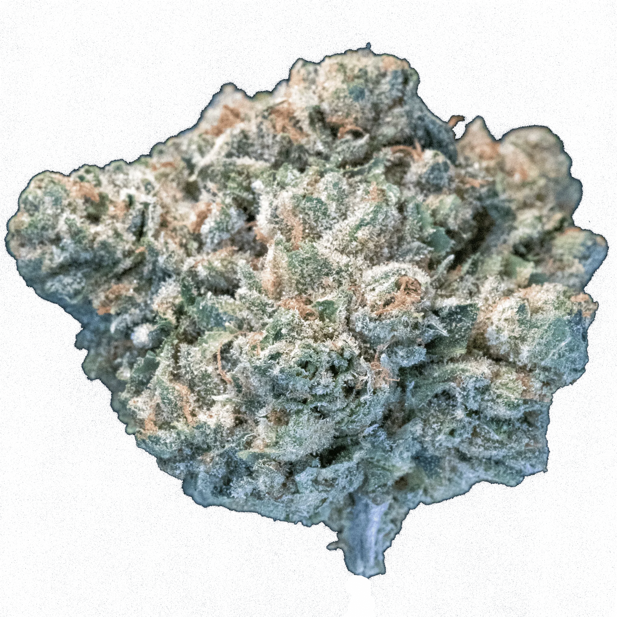 Space Duster – smalls – 16gr