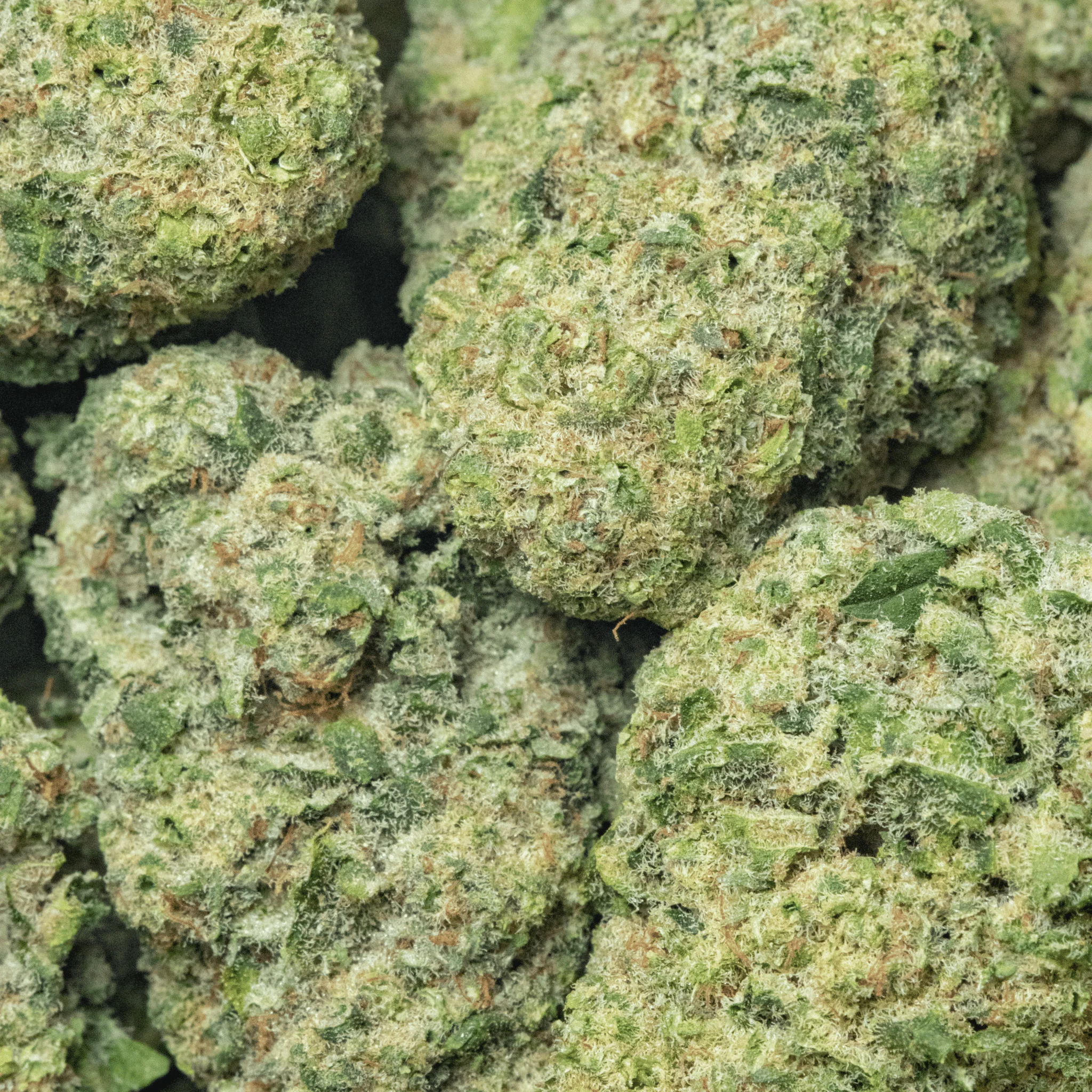 Sour Bomb Pop – smalls – 16gr